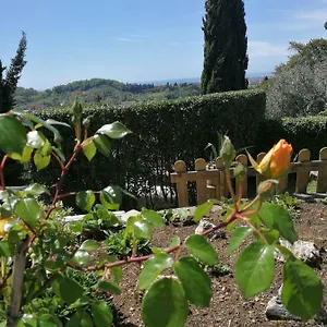  Casa vacanze Da Adria Al Corvenale - Casa Vacanze -